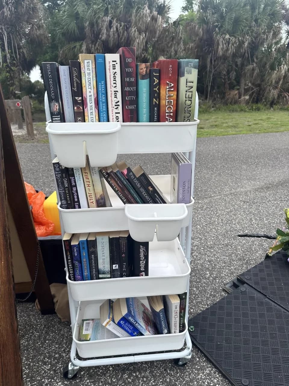 Book cart display at a Brevard County outdoor market
